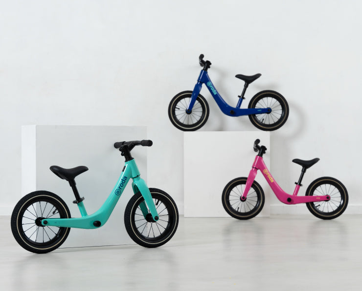 BICICLETA MAG