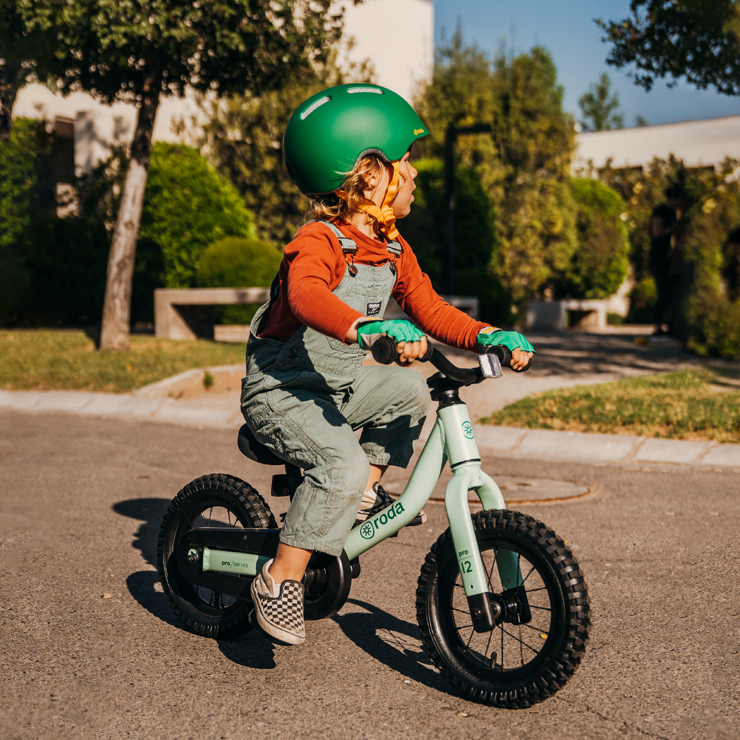 BICICLETA DE EQUILIBRIO PARA NIÑOS RODA PRO 12 v3