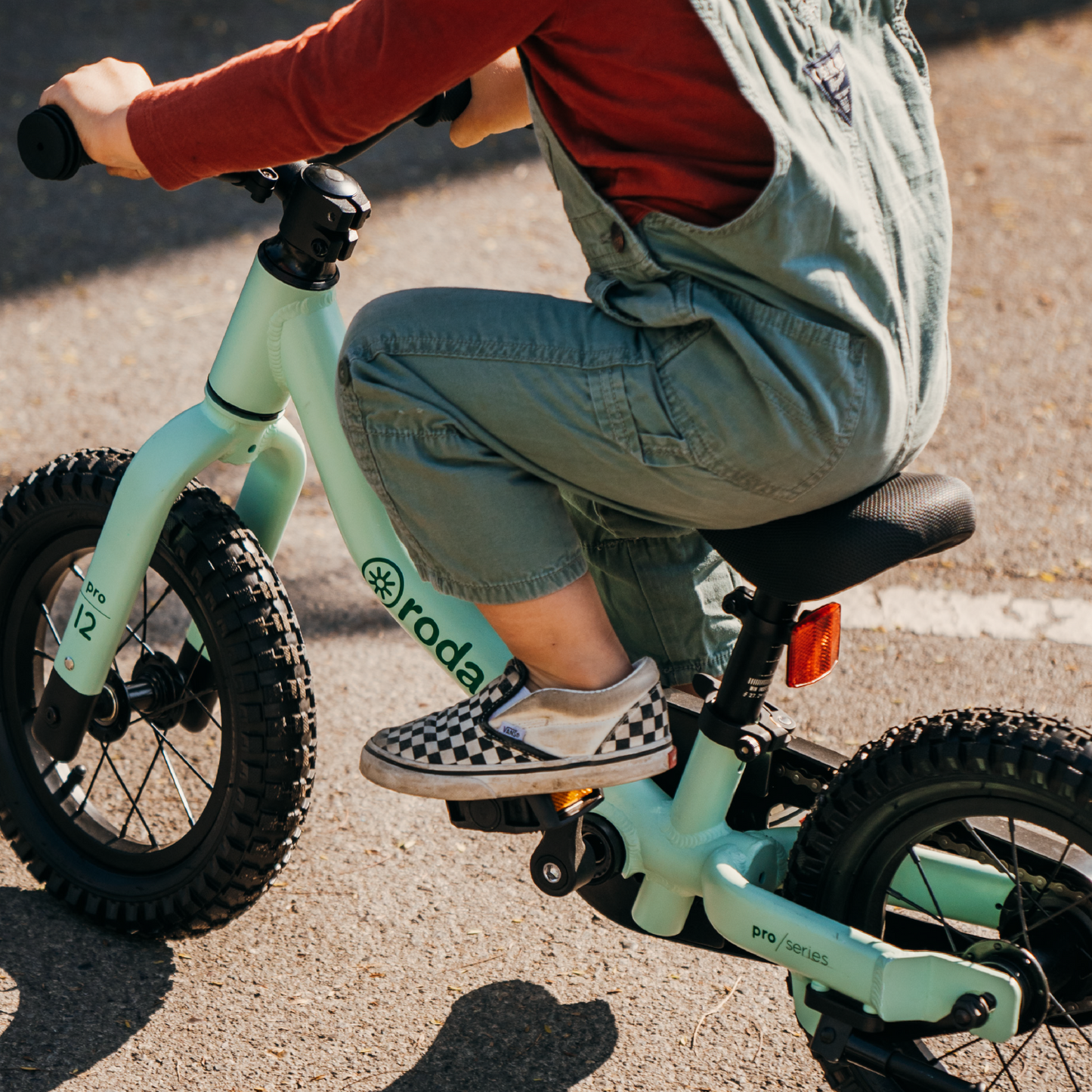BICICLETA PRO 12 v3 FULL