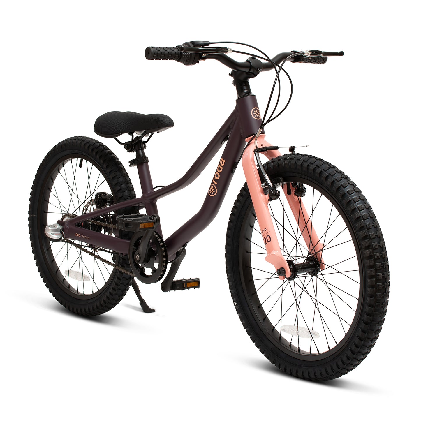 BICICLETA PRO 20