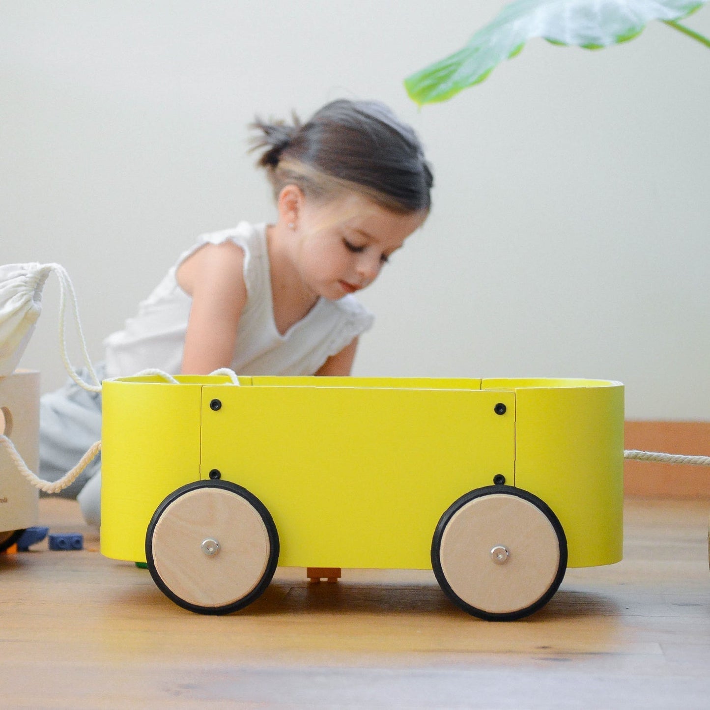 CARRO LUPE NATURAL | Det. en caja