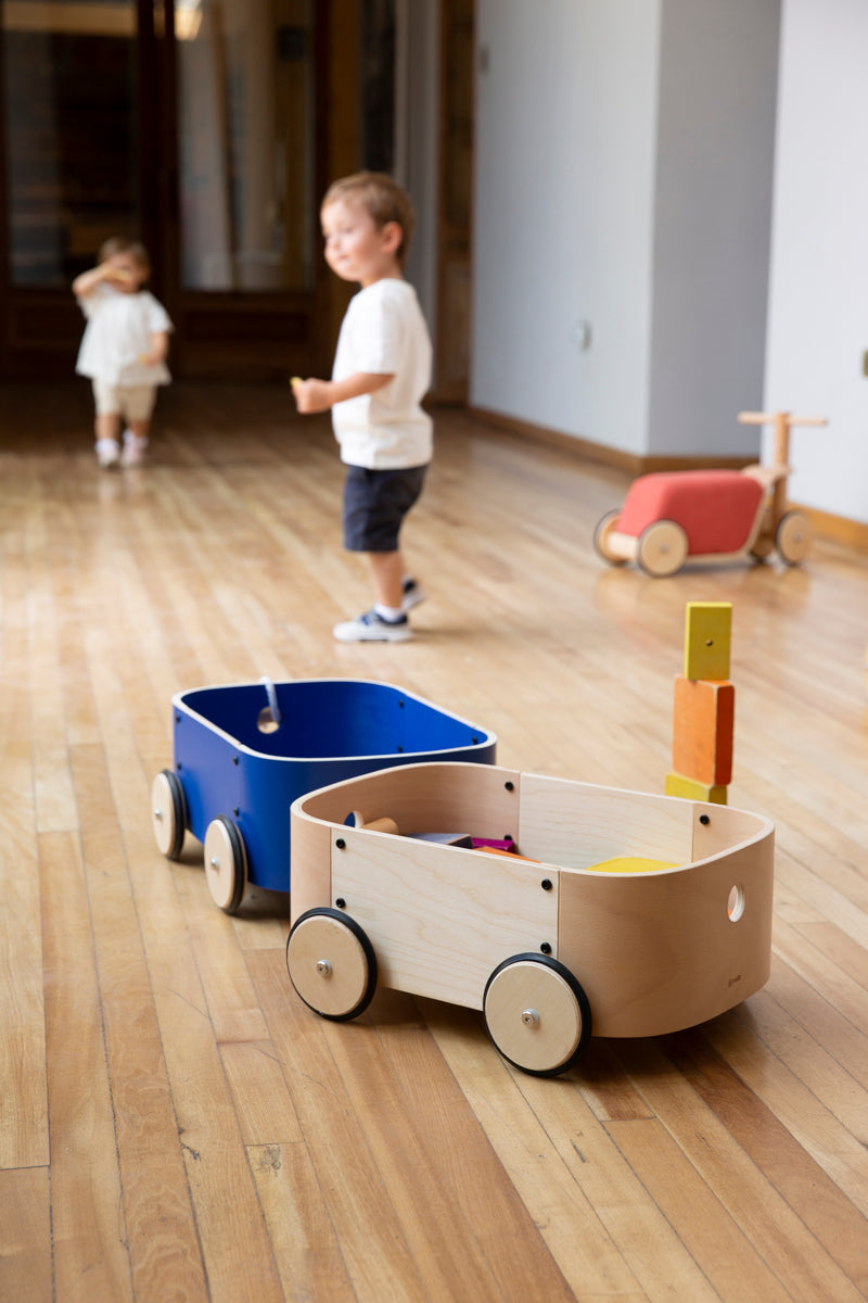 CARRO LUPE NATURAL | Det. en caja