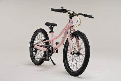 Nueva! BICICLETA PARA NIÑOS NIÑAS RODA PRO 20 v4