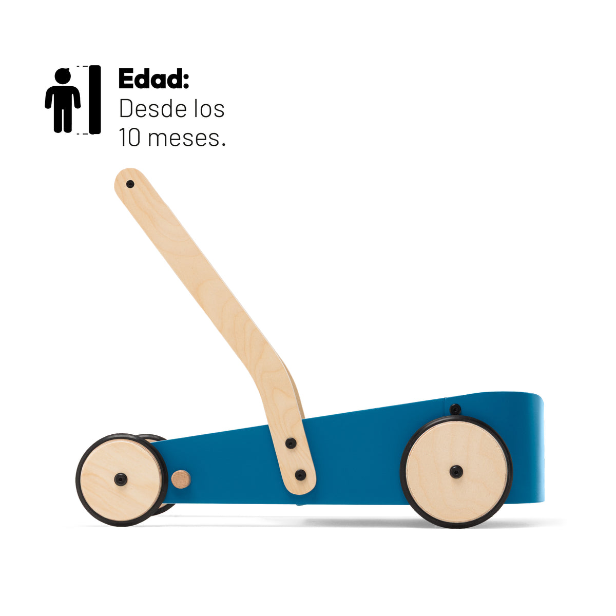 CARRITO ANDADOR PARA BEBÉ RODA