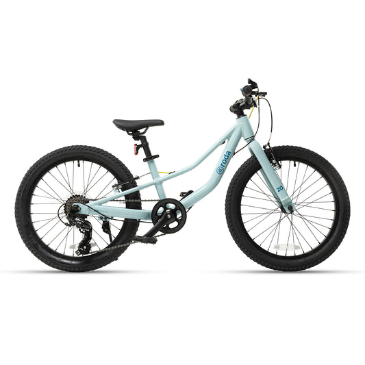 BICICLETA PARA NIÑOS NIÑAS RODA PRO 20 v5